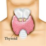 Thyroid glands:Curing for lack of iodine