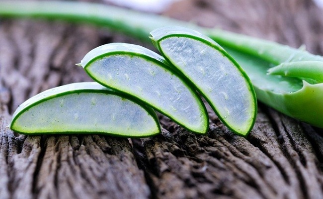 Abrasion Home Remedies – Aloe vera