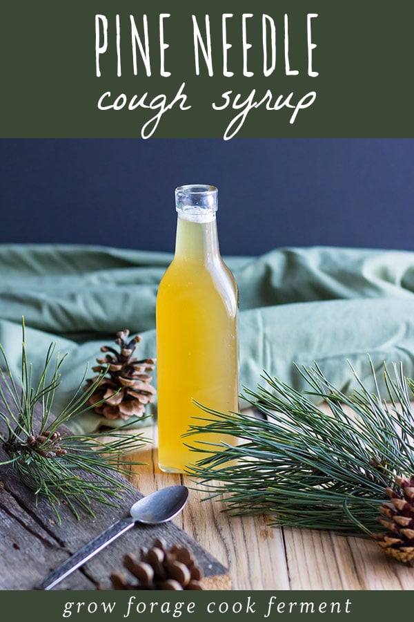 PINE NEEDLE COUGH SYRUP