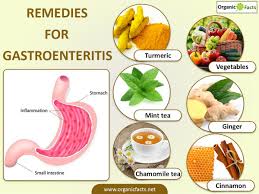 Home Remedies for Gastroenteritis
