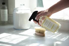 Natural Disinfectant Spray