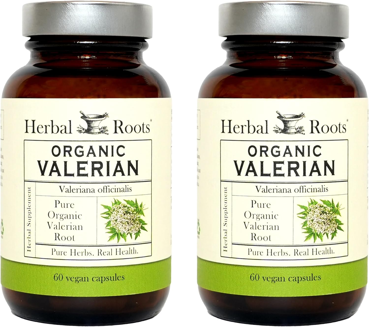 Best Valerian Root Supplements for Natural Sleep Support