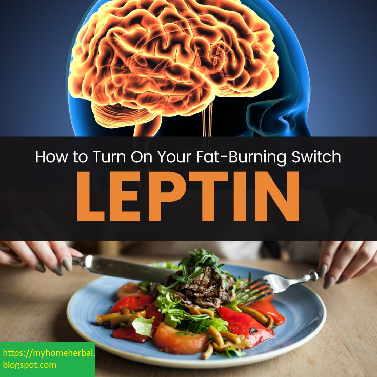 How to Turn On Your Fat-Burning Switch, Leptin (Your “Starvation Hormone”)
